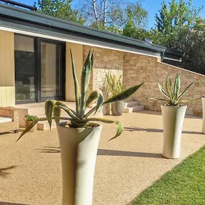 Agave , Lazise Italien